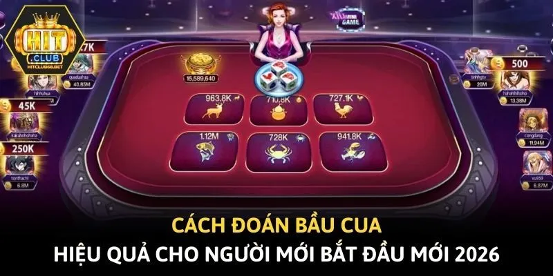 Cách Đoán Bầu Cua Hiệu Quả Cho Người Mới Bắt Đầu Mới 2026
